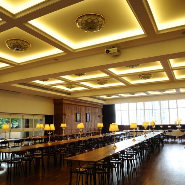 LED-TIRA IP20 -5050-(60xmt) INT- 120®-IP20-FRIA   3360Lm 40,000hs - Image 2